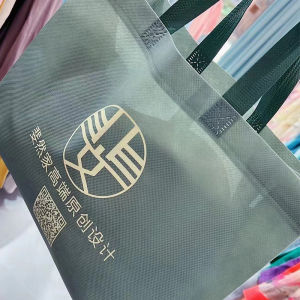 Internet Celebrity Handbag Long Can Boast Shoulder Cloth Bag Bag Non-Woven Bag Printing Logo Can Be Urgent Shoe Bag