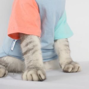 Baju Kucing Anjing Cowok Cewek Bulu Lucu Kecil -BUKIPET COLORBLOCK TEE