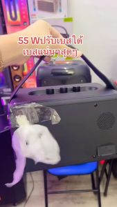 (ปรับเบส-แหลมได้) ลำโพง บลูทูธ เสียงดีมาก 55W ลำโพงบลูทูธ M4 เบสแน่น ดีไซส์สวย Portable Bluetooth speaker wireless