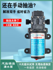 Electric Fuel Pump Self-Priming Gasoline Pump for Cars  Oil Suction Pump Automotive Fuel Transfer Tool Engineering Plastic
