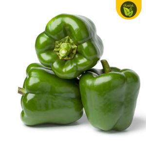 100 seeds for planting binhi sweet bell pepper fruit