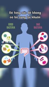 Thực Phẩm Bảo Vệ Sức Khỏe Bifidobacteria Jelly Fine Japan - Bổ Sung Probiotics | Hỗ Trợ Tiêu Hóa & Cân Bằng Lợi Khuẩn | Hộp 20 Thanh | Freeship