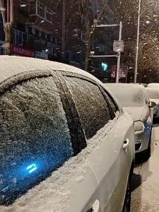 Snow Frost Freeze Protection Car Front Windshield Protector