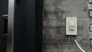 Bakso Sapi Super Bakso Polos ESSEM Baso Sapi Food isi 50 Essem Bakso Biru Essem Baso Merah 50 Pcs Baso Polos 10pc