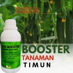 Pupuk penyubur pelebat tanaman buah timunPupuk semprot pelebat buah timunPupuk booster buah timun