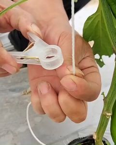 5 Pcs - Twine Clip for Vertical Vine & Plant Stem Support 2 cm | Klip Tali Penyangga Tanaman Vertikal