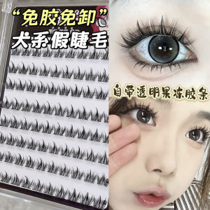 Super Soft Self-Adhesive Dog Eyelashes Natural Looking Cartoon Style Beginner Friendly Fake Eyelashes for Pets Easy to Use