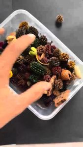 50gr SPA Potpuri Pengharum Ruangan Bunga Kering Aromaterapi Tanaman Kering