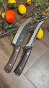 CẶP DAO LỌC HÀNG NHẬT CÁN GỖ BỀN ĐẸP TIỆN LỢI