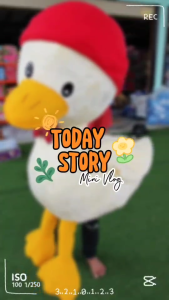 ตุ๊กตาเป็ดหมวกแดง น่ารักขนนุ่ม มี2ขนาด ขนาด1.2เมตรและ22นิ้ว งานสวยพร้อมส่งจ้า เป็ดหมวก