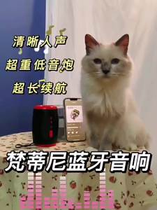 Loa Bluetooth Di Động Không Dây Chống Nước Mini Subwoofer Có Đài FM Hộp Âm Thanh Âm Nhạc Loa Trầm Nhỏ Không Dây AyeBeau