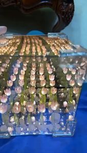 Tulips Night Lamp DIY 3D Mirror Attached Tutorial Night Light Gift Girlfriend Birthday Anniversaries Valentines Day