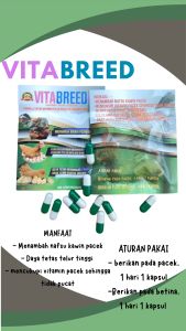 VITABREED 1 RENTENG - meningkatkan birahi pejantan dan betina