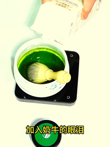 High Quality Chasen Matcha Resin / Matcha Whisk Plastic / Pengaduk Matcha | The Chamber Tea