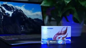 GUDGA M.2 NVMe 2280 SSD 512GB M.2 PCIe 3.0 X4 Internal Solid State Drive With Cache For Laptop Desktop Game Console