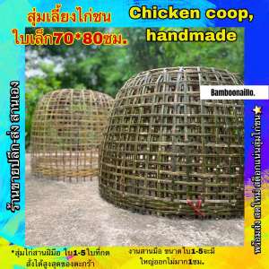 สุ่มลูกไก่ชนเล็ก. ไม่มีขนเสี้ยนพร้อมส่ง