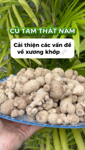 [Hàng mới về] Củ tam thất nam khô 500g - Tấn Phát - Hỗ trợ cải thiện sức khoẻ