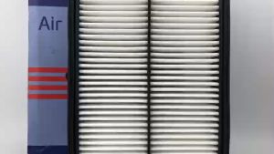 Lọc Gió Động Cơ Hyundai Santafe Máy Xăng Đời 2014-2018 Sorento máy xăng đời 2014-nay (mã 28113-2W100)