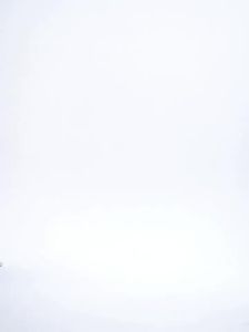 alo yoga Rok Tenis Regangan Ketat Wanita Anti Terdedah Pinggang Tinggi Sukan Yoga Kecergasan Golf Saku