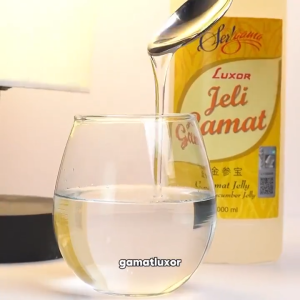 Jelly Gamat Luxor 550ml Free Jahe H64 Satu Renceng Isi 12 Sachet
