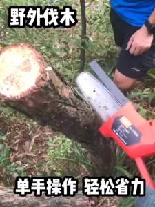 [24h Shipping]  TEGATOK 4 Inch Mini Cordless Chainsaw Wood Cutter Secateurs Portable nch Pruning Saw Gergaji Elektrik Mesin with 2 Batteries Rod Perfect for Wood Cutting and Tree nch Pruning Electric