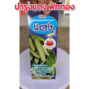 ลักกี้ แตง ฮอร์โมนพืช ฮอร์โมนแตง ฟักทอง ใบเขียว เปิดตาดอก ติดผลดก ผิวสวย ต้านทานโรคแมลง ทนต่อสภาพอากาศเปลี่ยนแปลง 1 ลิตร