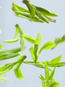PIAOXIANGYUN | Trà Xanh Long Tĩnh 6A Cao Cấp