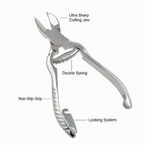 Pig teeth cutter Stainless steel tooth nipper clipper Milk teeth pliers for piglet Veterinary equipment set