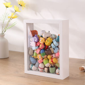 รูปแบบกรอบรูปโปร่งใส กระดานเก็บของทรงกลม DIY สำหรับดอกไม้แห้งและสัตว์ป่าแบบโมเดล