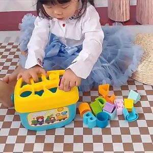 Babys First Blocks Toys Montessori Learning Shape Baby Early Education Learning Toddler Toys 18m+