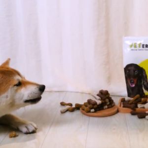 MYDOG Chewy Bone 425g Dog Treats Dog Snacks Dog Treat Snack Dog Snack Food Pet Snack Dog Dental Chew 狗狗磨牙棒 狗狗零食磨牙棒 宠物零食