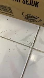 [Best Seller]MAYIJING Ubat Semut / Ubat Lipas /Ants Poison / Ants killing Bait / Cockroach Poison Pest Control 30pack/ 3gram(1 Box) Racun Semut & Lipas