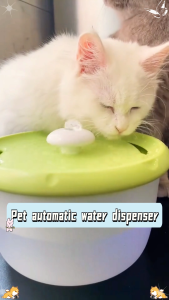 Pet Drinking Fountain with Feeder | Automatic Circulating System Neck Protection Cat Dog Universal