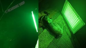 SAT ENERGY 200W LED Spotlight, สปอตไลท์ LED แสงเขียว 200W ไฟตกหมึก ไฟไดหมึก (ใช้ไฟคือ LED 12V)