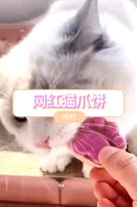 Realmpetz Pet Freeze Dried Raw Meat Makanan Kucing Snack Kucing Cat Snack Cat Food Treat Dog Snack 猫狗零食 Snek Kucing