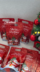 10pcs Resealable Christmas Ziplock Bags Merry Christmas Loot Bags Decorations Red Santa Claus Lootbags Plastic Candy Gift