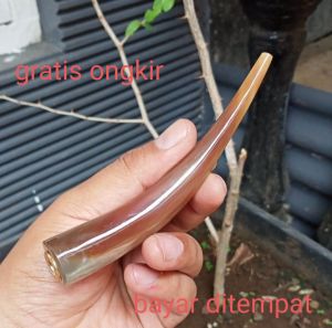 once tanduk bule 12cm pipa tanduk kerbau asli cangklong tanduk panjang