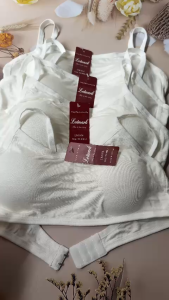 áo lá học sinh cấp 2và 3 đệm tháo rời đượcmóc cài sau 35KG-55KG MÃ 034