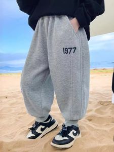 Spring & Autumn Boys' Casual Sports Pants: A Comprehensive Guide