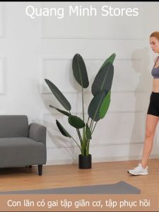 Ống lăn massage có gai tập giãn cơ tập phục hồi F8