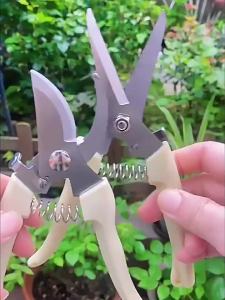 2pcs Stainless Steel Pruning Shears Set / Sharp and Wear-resistant Trimming Scissors / Professional Hands Pruner Cutter for Fruit Tree Branch Flower