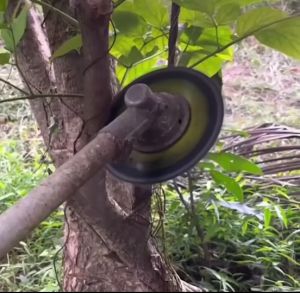 ฟันเลื่อย 9 นิ้ว ฟันโซ่ ลับคมได้ ฟันเลื่อย ใส่เครื่องตัดหญ้าได้ทุกยี่ห้อ ตัดไม้ได้ สินค้าพร้อมส่ง แข็งแรง ทนทาน