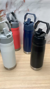 Termos Vaccum Straw Cup 650 ML Plus Box
