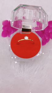 Cincin BY 01 Titanium Tidak Berkarat dan Tahan Lama CS007