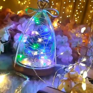 Dây Đèn Led Trang Trí Đom Đóm Nhiều Màu 1m 5m 10m Đầu Cắm USB Tiện Dụng Đèn Trang Trí Fairylight Dây Kẽm Chịu Nước