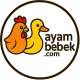 AyamBebek.com Pakan & Ternak