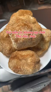 Nấm Hầu Thủ 100gram - Nấm Đầu Khỉ Sấy Khô (Hàng mới thơm ngon Bịch hút chân không)