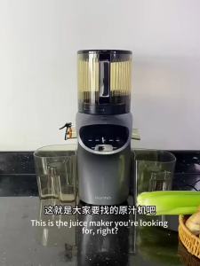 Hurma | New Multi-functional Pulp Separation Home Use Automatic Large Diameter Juicer
