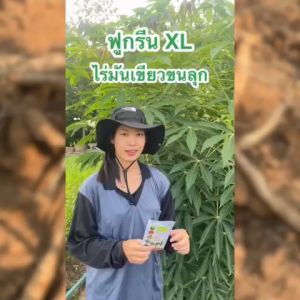ฟูกรีนXL เขียวขนลุก เขียวสะพรึง เขียวขนลุก ช่วยให้พืชสังเคราะห์แสง  ใบเขียวสด ใบหนา ขยายลำต้น กิ่งก้าน  เขียวนาน โตไว เร่งราก แตกใบ ผลใหญ่ ฉีดระยะแรก เร่งต้น เร่งเขียว กระตุ้นแตกกอ อาหารเสริม ฮอร์โมนพืช ฉีดได้กับทุกพืช