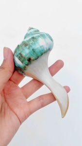 Gác Đũa Ốc Biển Xanh Xà Cừ (01 Chiếc) Nghệ Thuật Ẩm Thực Việt - CTH749